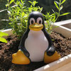 Linux Café